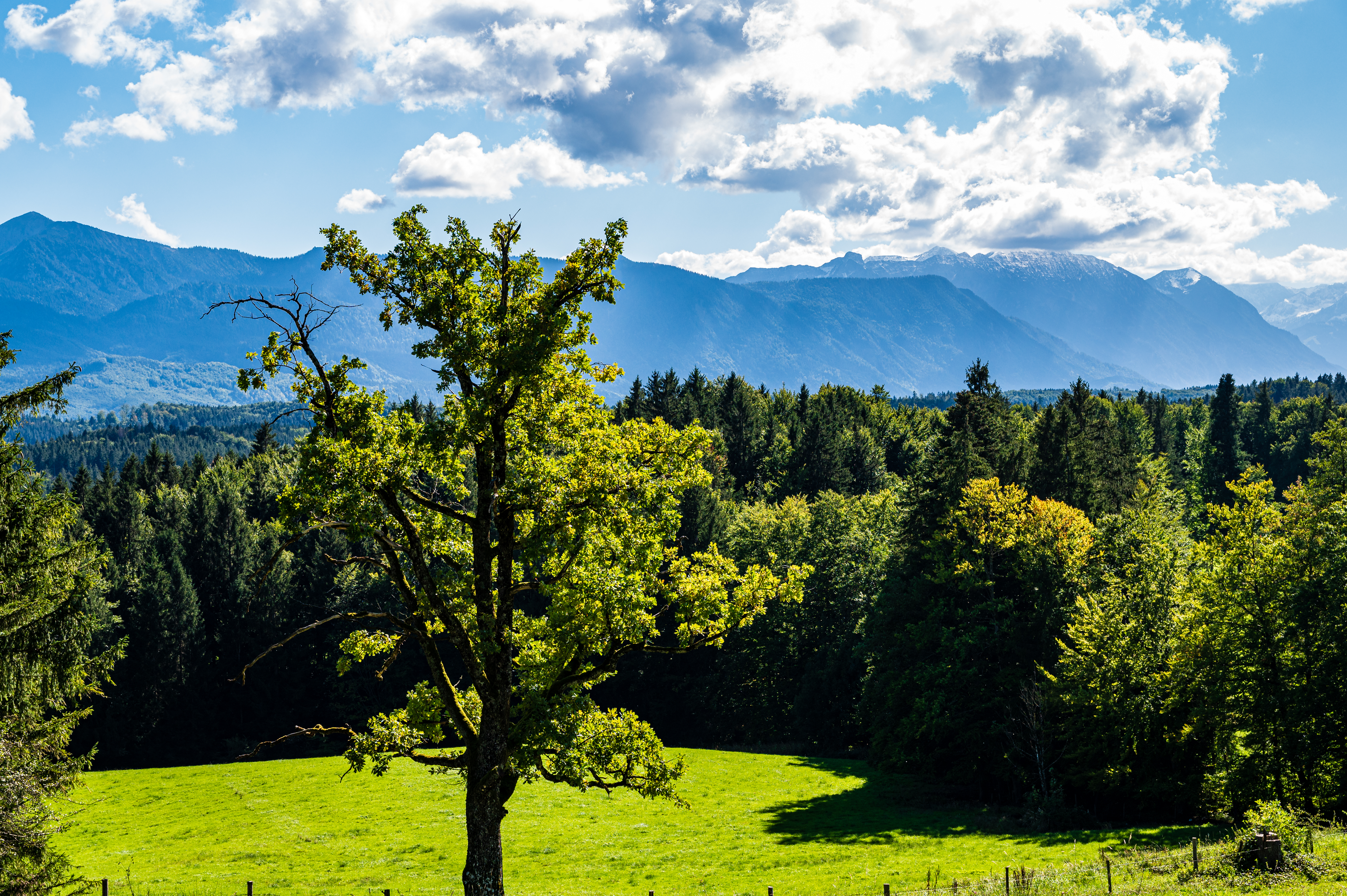 Wanderung Aidlinger Höhe